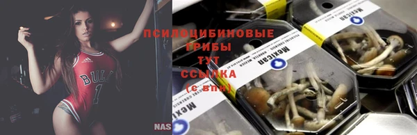 ГАЛЛЮЦИНОГЕННЫЕ ГРИБЫ Верея