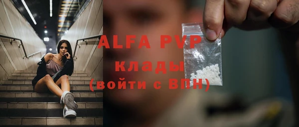 ГАЛЛЮЦИНОГЕННЫЕ ГРИБЫ Верея