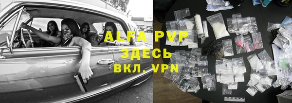ГАЛЛЮЦИНОГЕННЫЕ ГРИБЫ Верея
